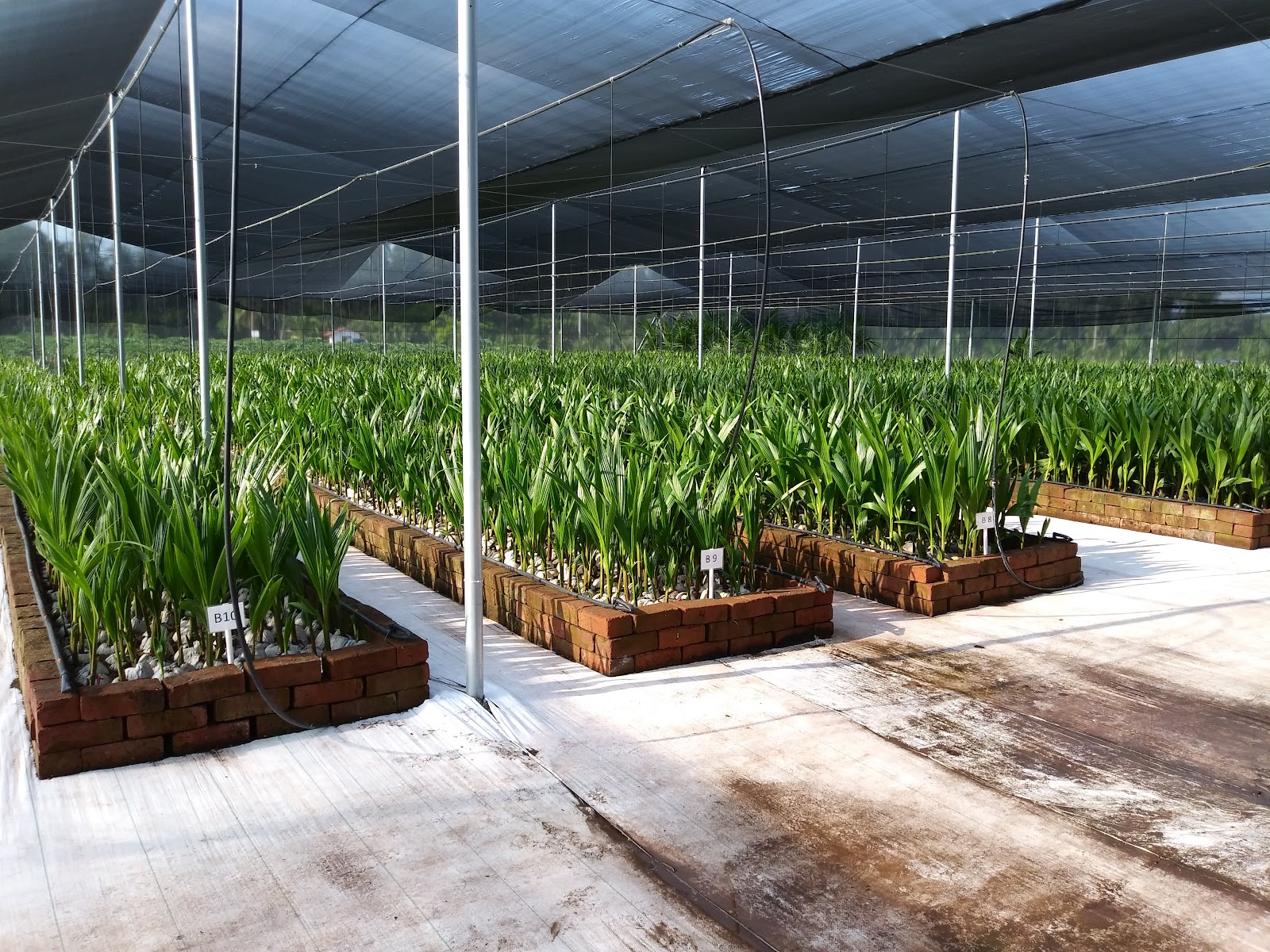 leetx-google-photo-49095-4 leetx-google-photo-49095-4