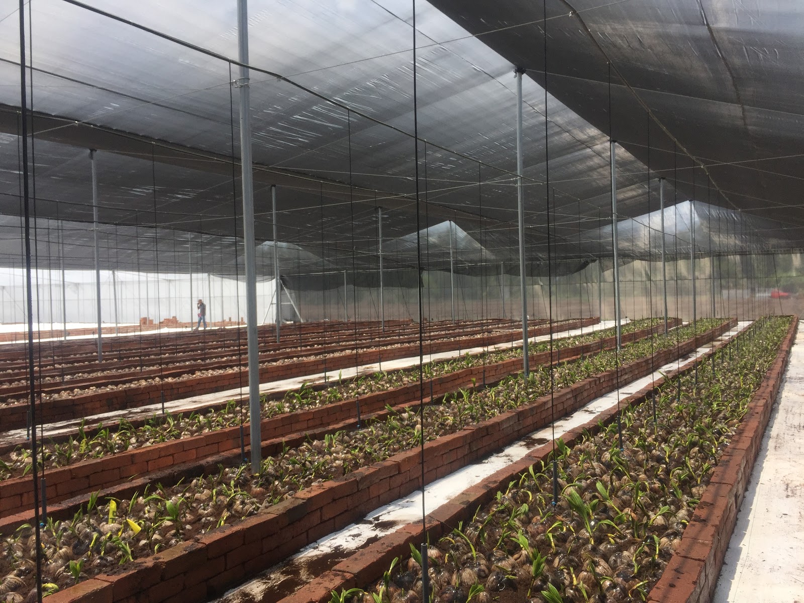 leetx-google-photo-49095-8 leetx-google-photo-49095-8