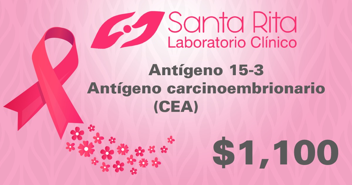 leetx-google-photo-49288-7 leetx-google-photo-49288-7