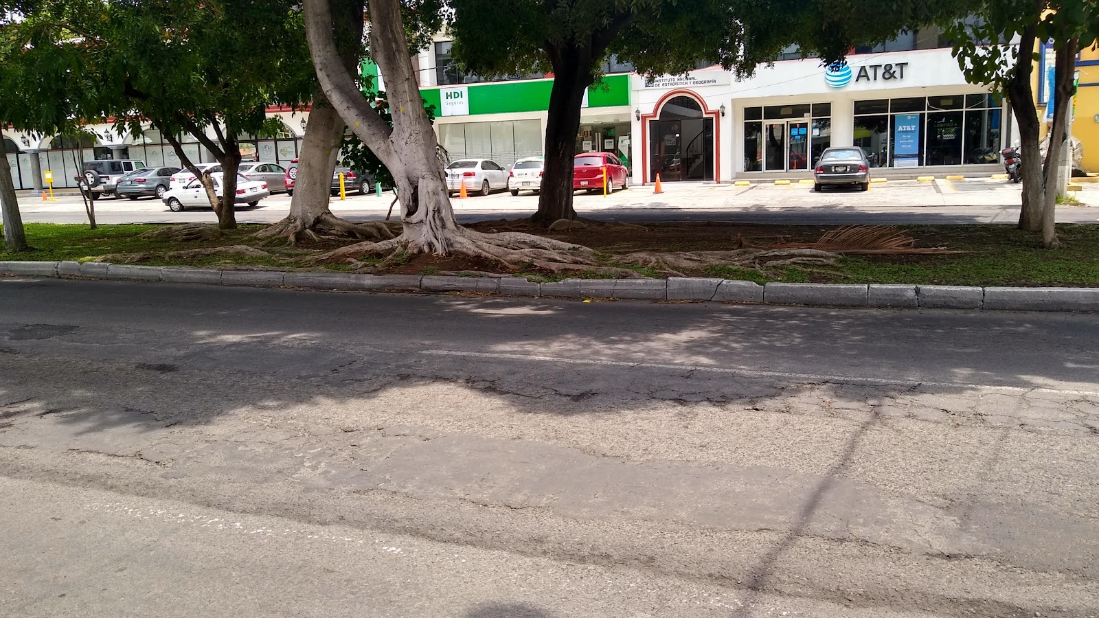 leetx-google-photo-49415-5 leetx-google-photo-49415-5