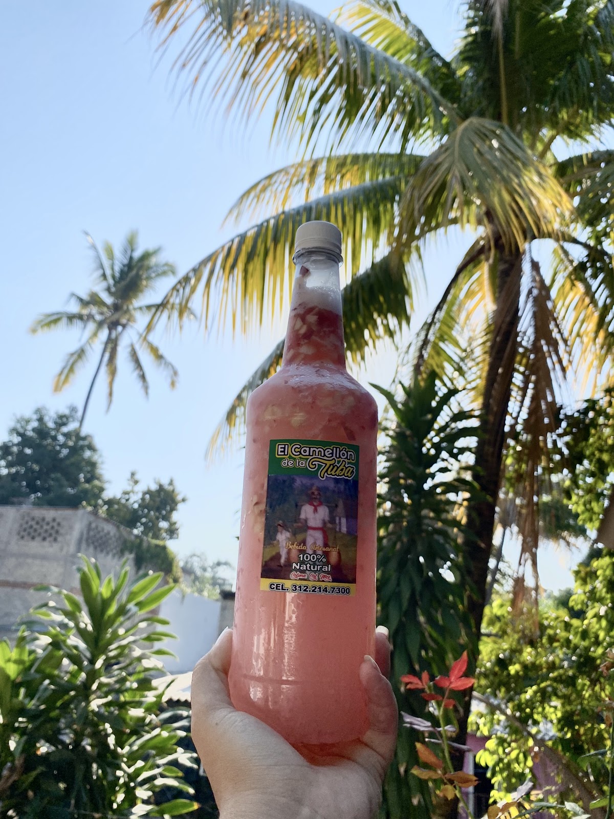 leetx-google-photo-49461-8 leetx-google-photo-49461-8