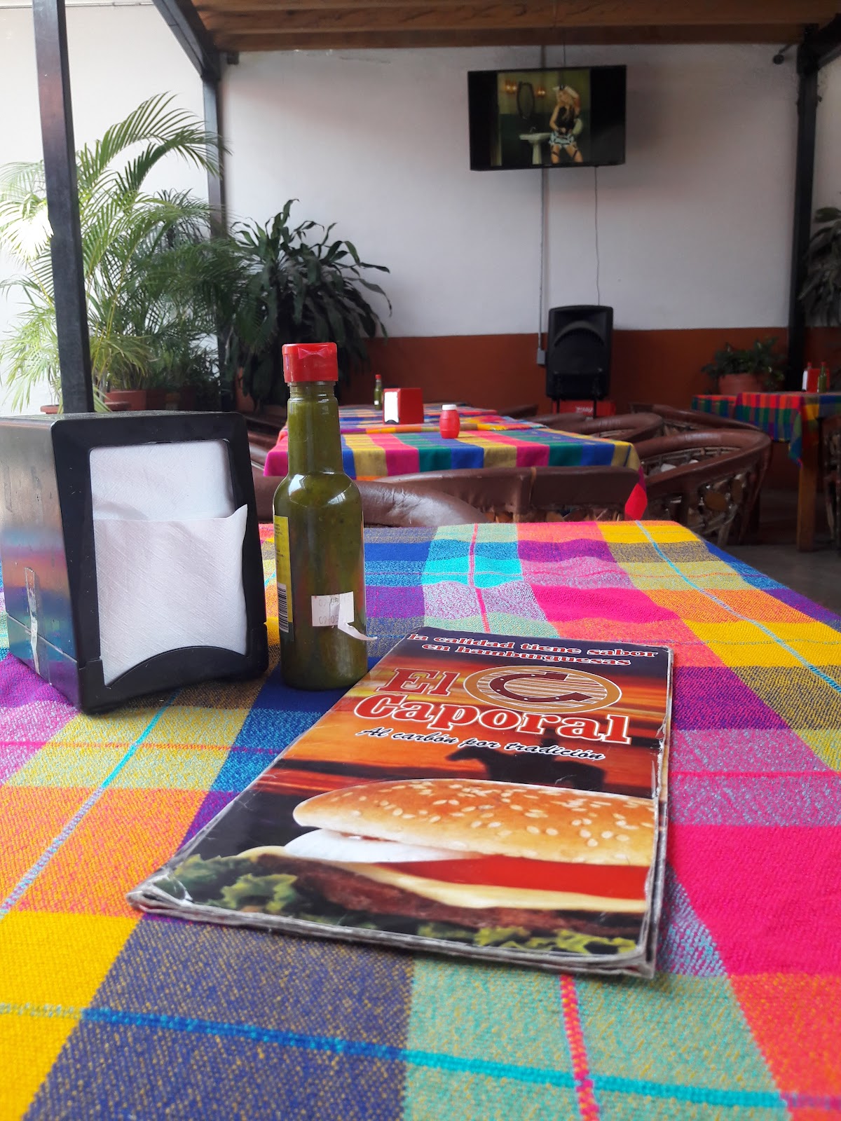 leetx-google-photo-50217-8 leetx-google-photo-50217-8