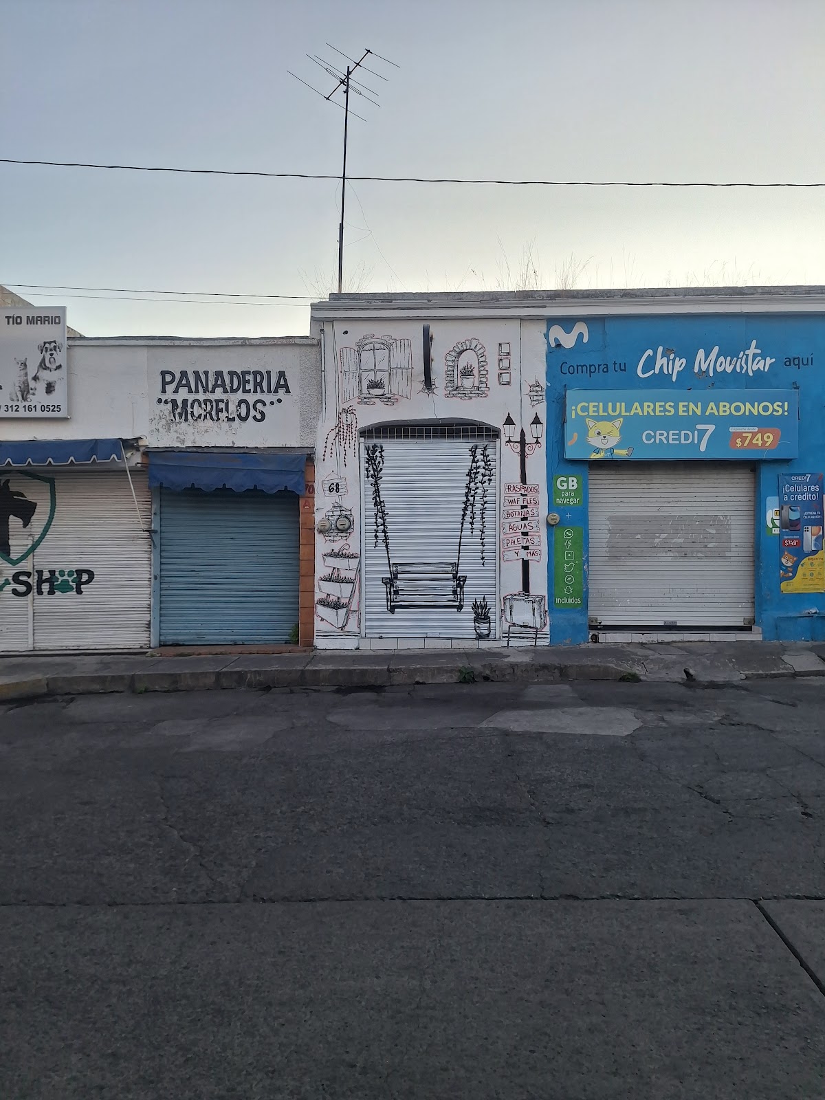 leetx-google-photo-50293-7-2 leetx-google-photo-50293-7-2