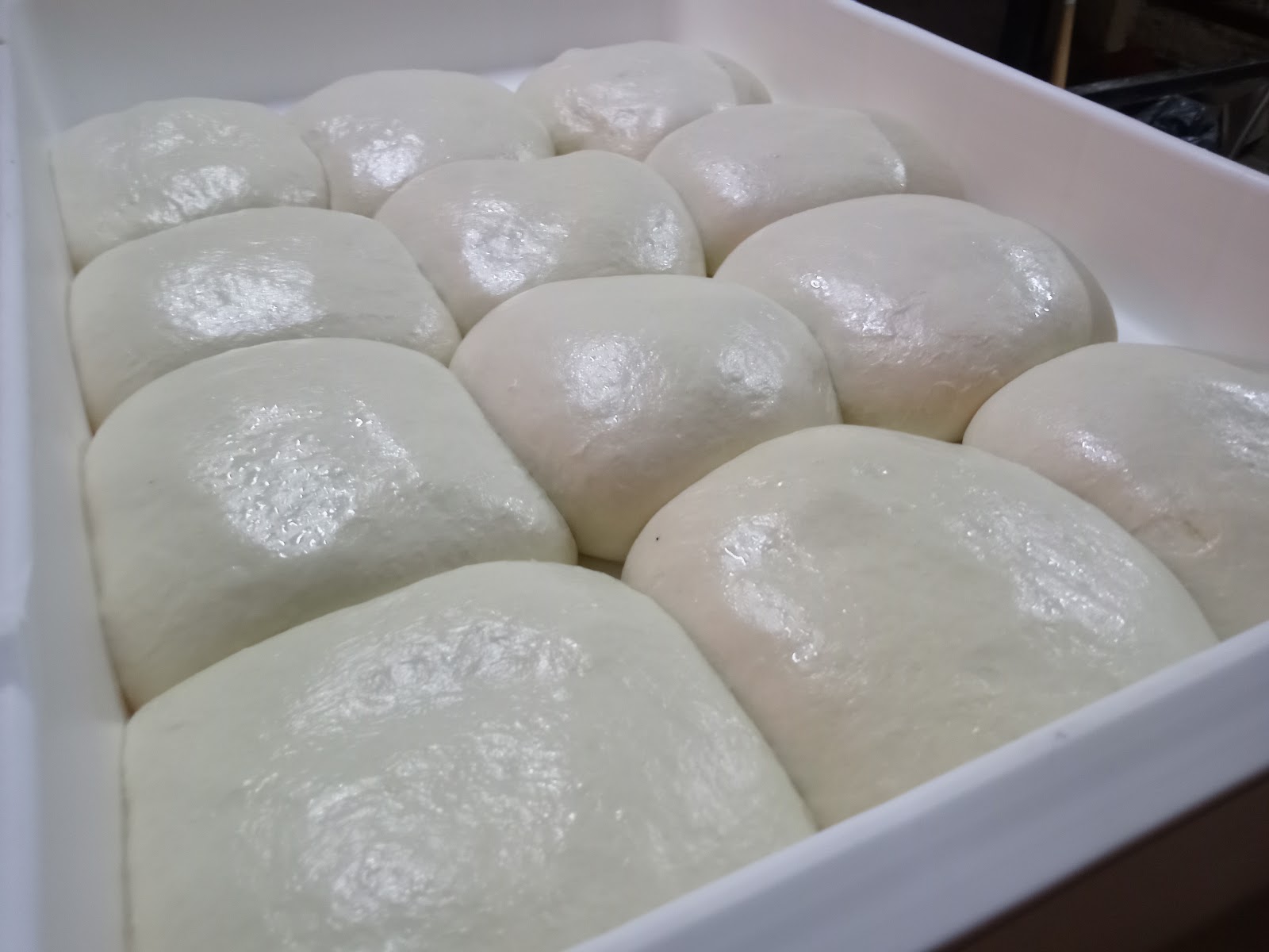 leetx-google-photo-51336-8 leetx-google-photo-51336-8