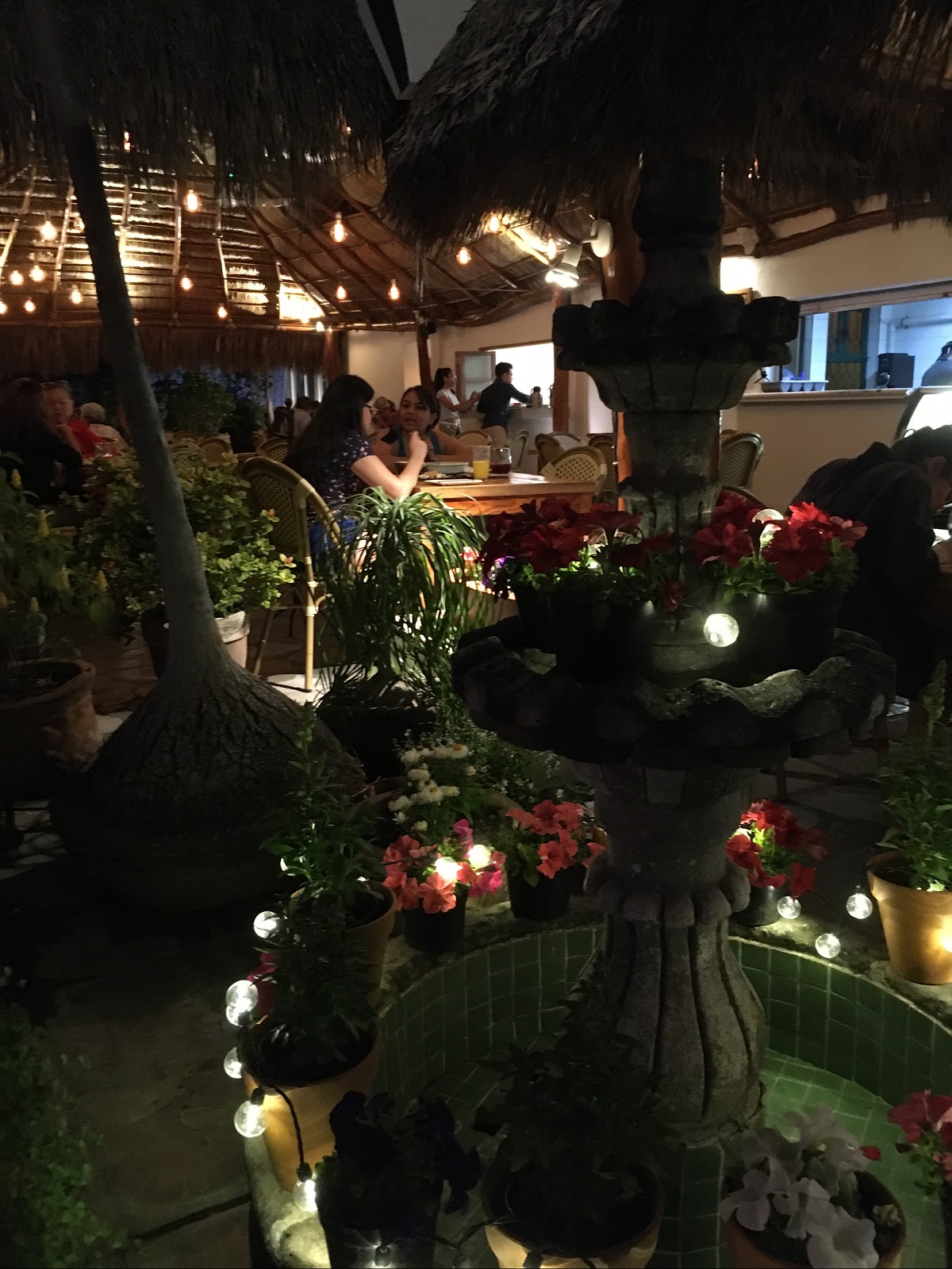 leetx-google-photo-51376-5-2 leetx-google-photo-51376-5-2