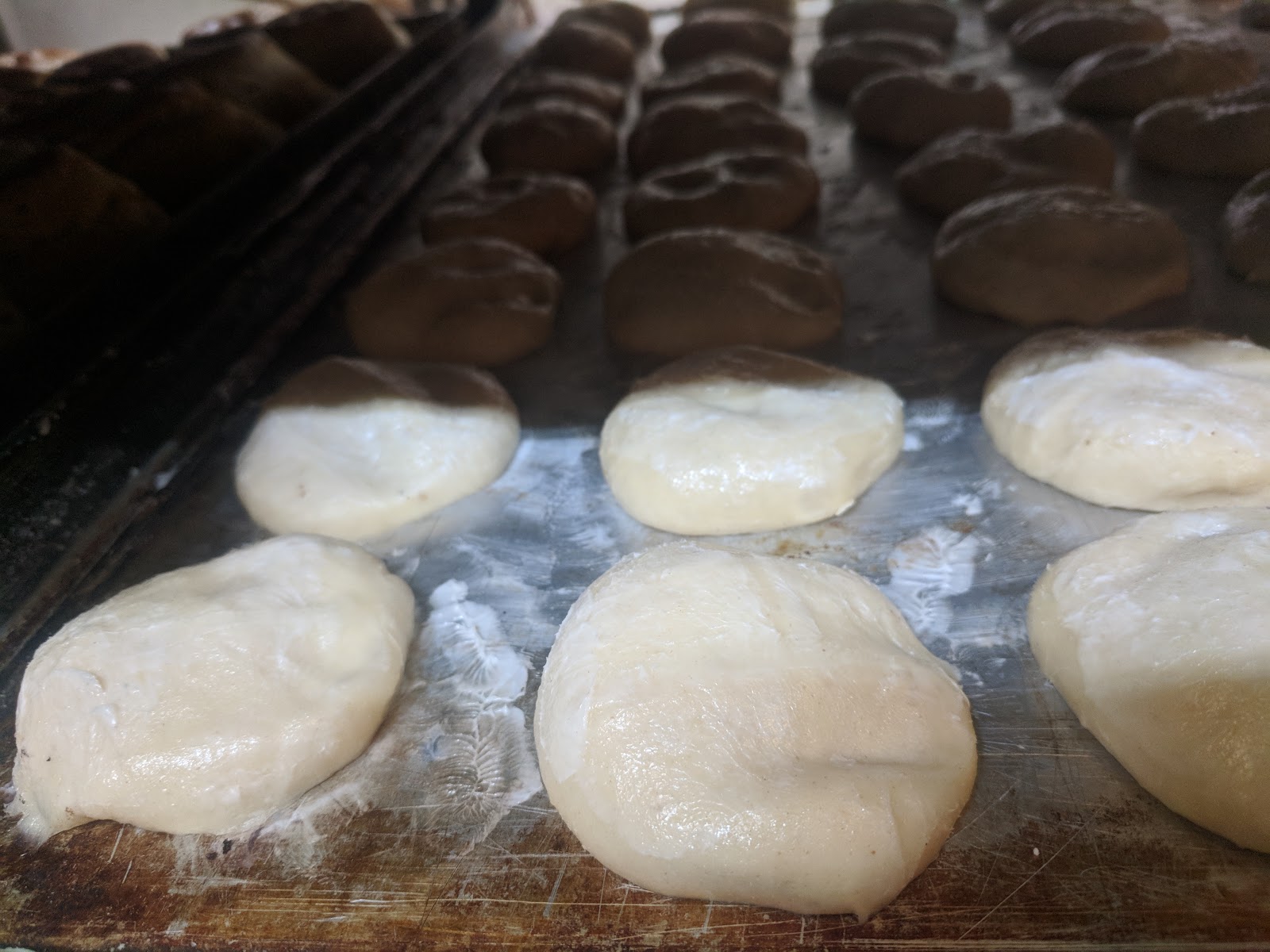 leetx-google-photo-51515-3-1 leetx-google-photo-51515-3-1