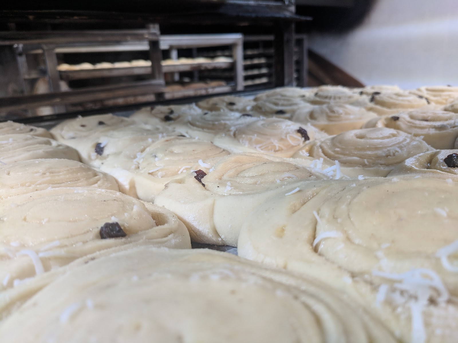 leetx-google-photo-51515-5-1 leetx-google-photo-51515-5-1