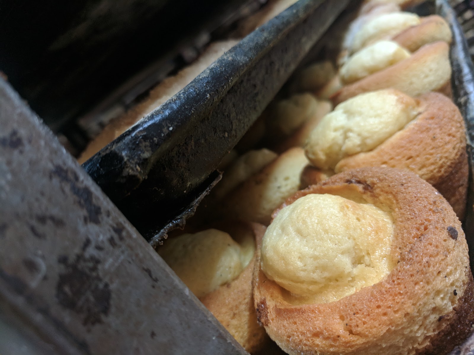 leetx-google-photo-51515-7-1 leetx-google-photo-51515-7-1