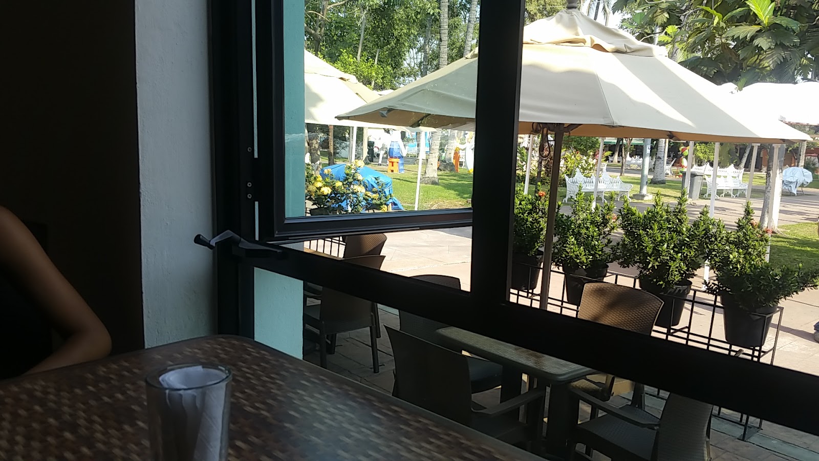 leetx-google-photo-51626-7 leetx-google-photo-51626-7