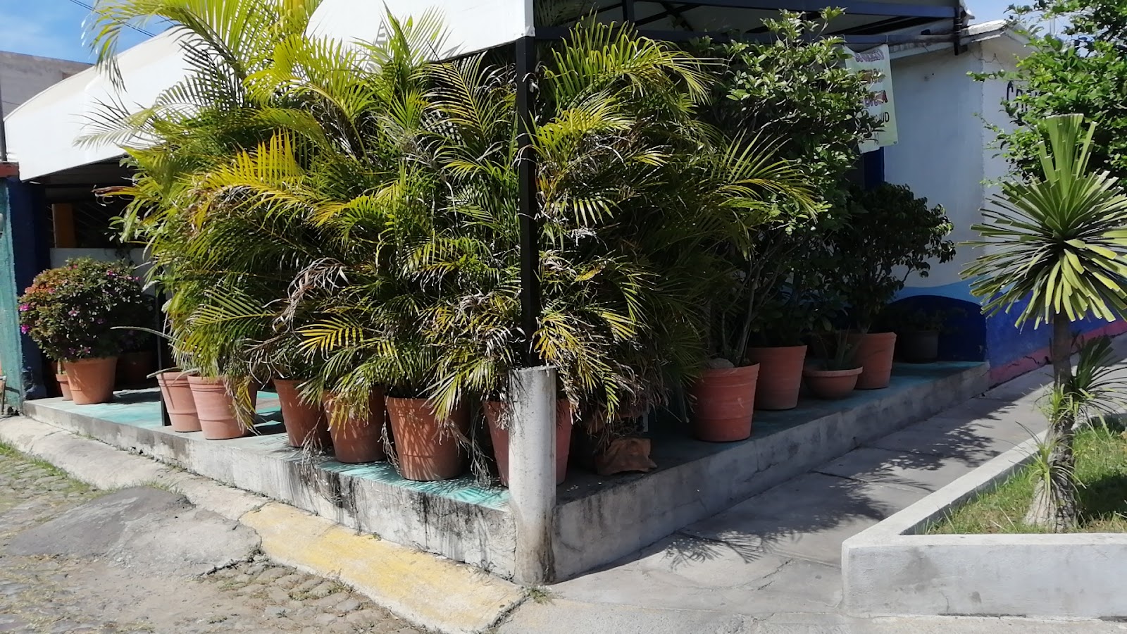 leetx-google-photo-52085-2 leetx-google-photo-52085-2