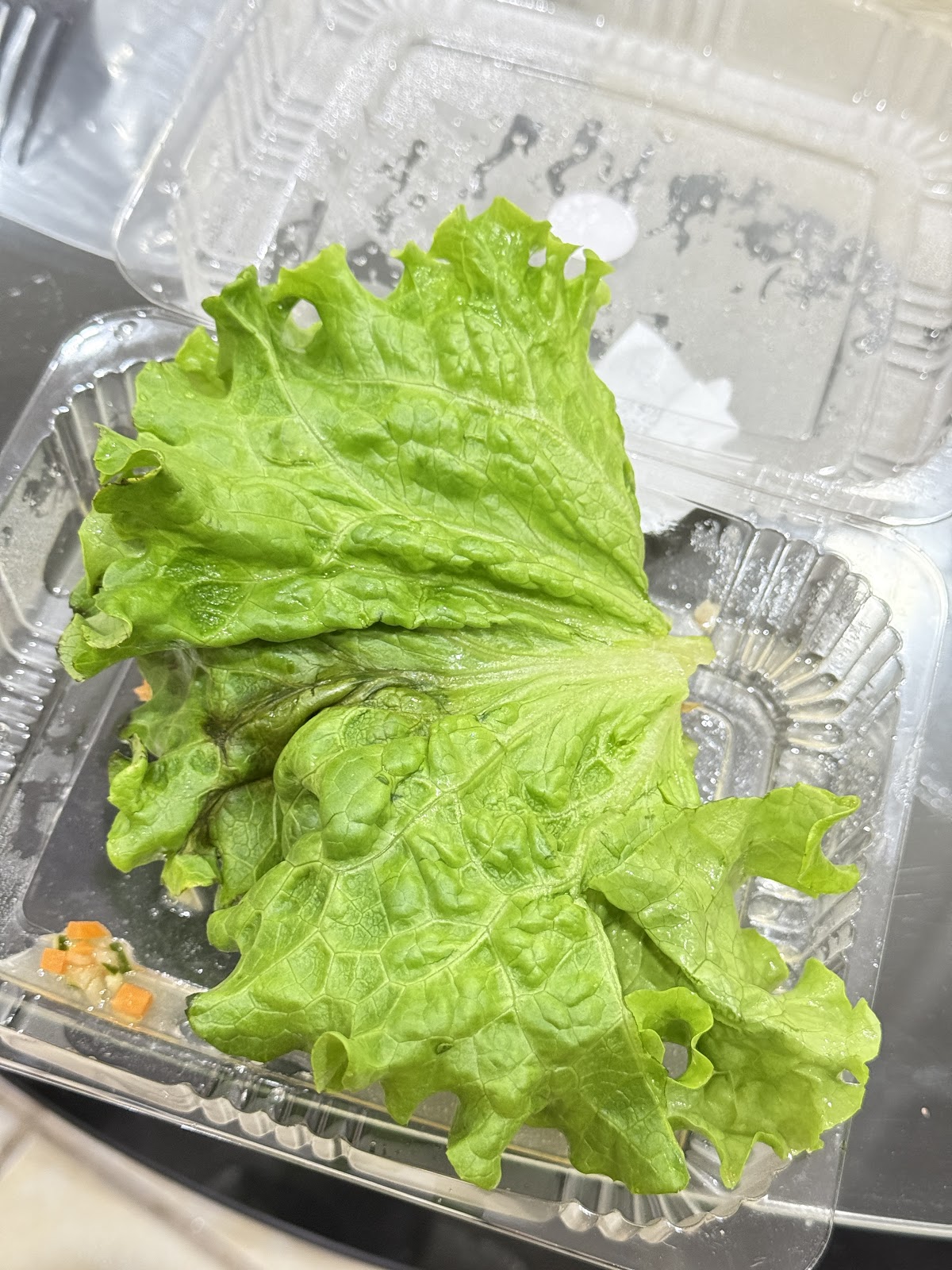 leetx-google-photo-52437-7 leetx-google-photo-52437-7