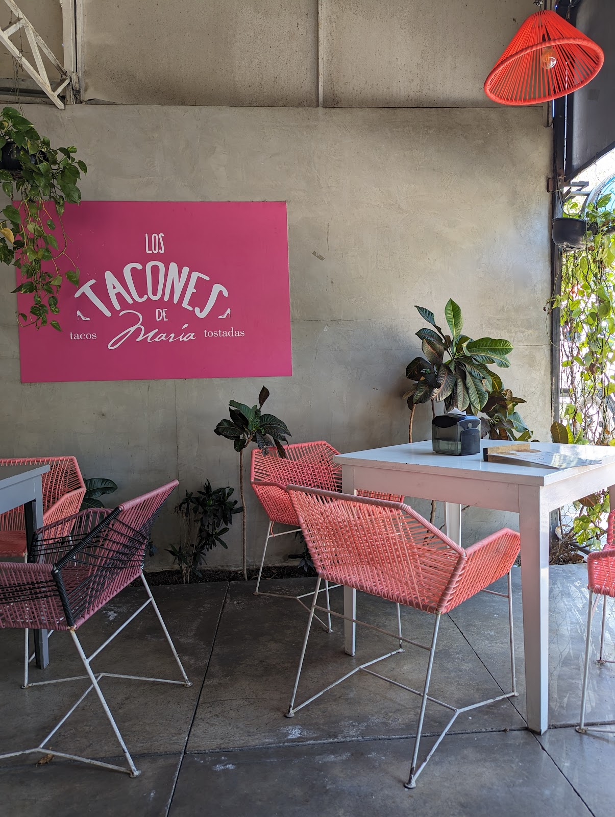 leetx-google-photo-52491-6 leetx-google-photo-52491-6