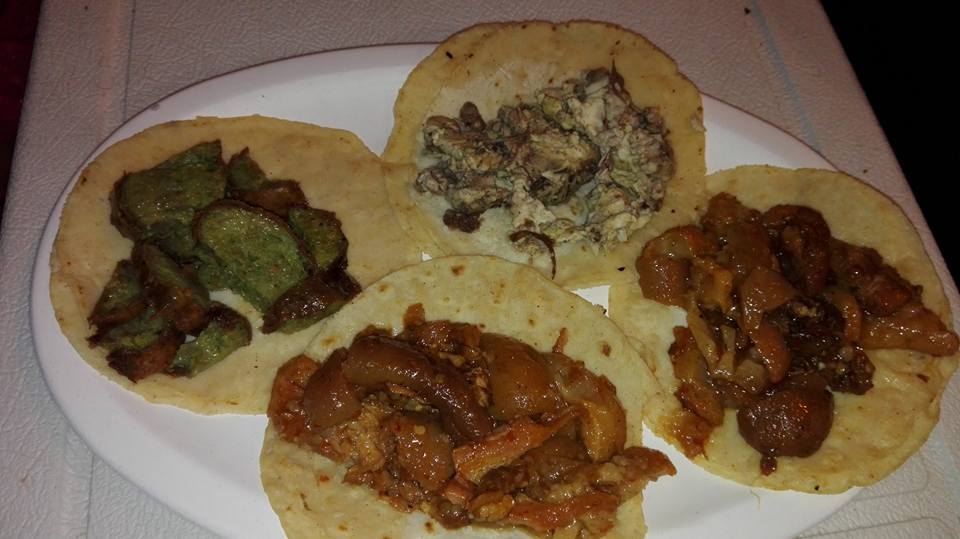 leetx-google-photo-52725-2 leetx-google-photo-52725-2