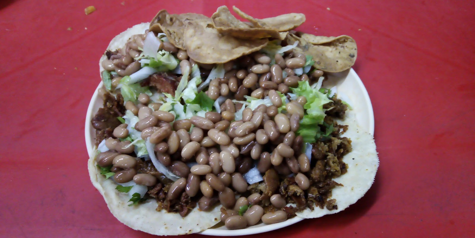 leetx-google-photo-52725-8 leetx-google-photo-52725-8