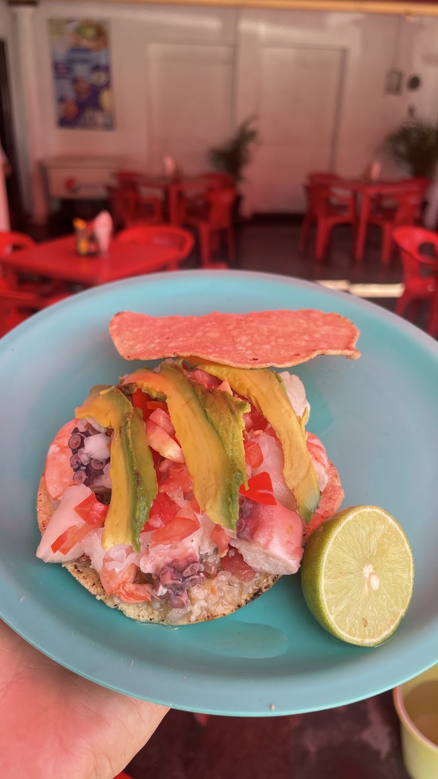 leetx-google-photo-52766-4 leetx-google-photo-52766-4