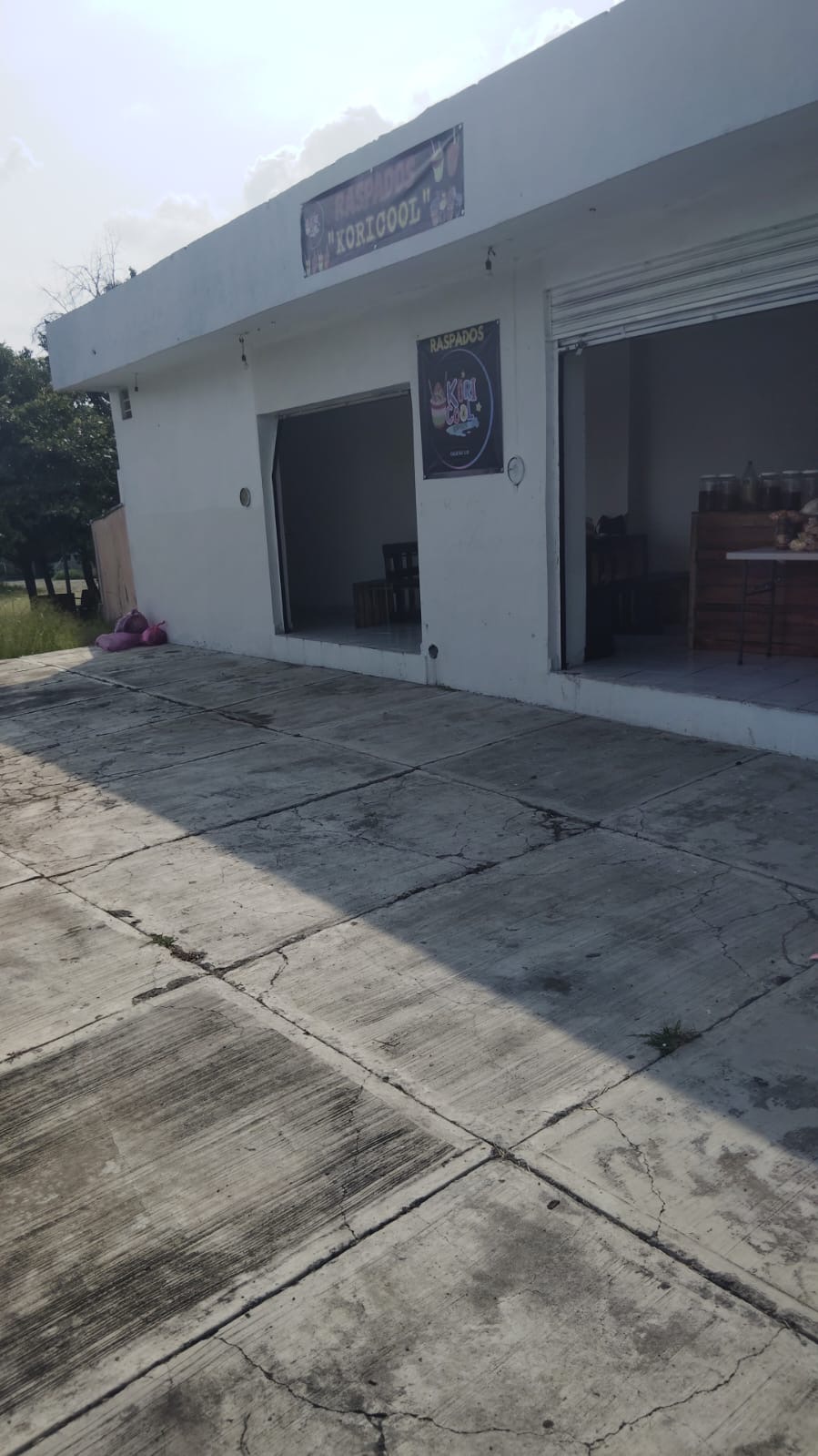 leetx-google-photo-52943-5 leetx-google-photo-52943-5