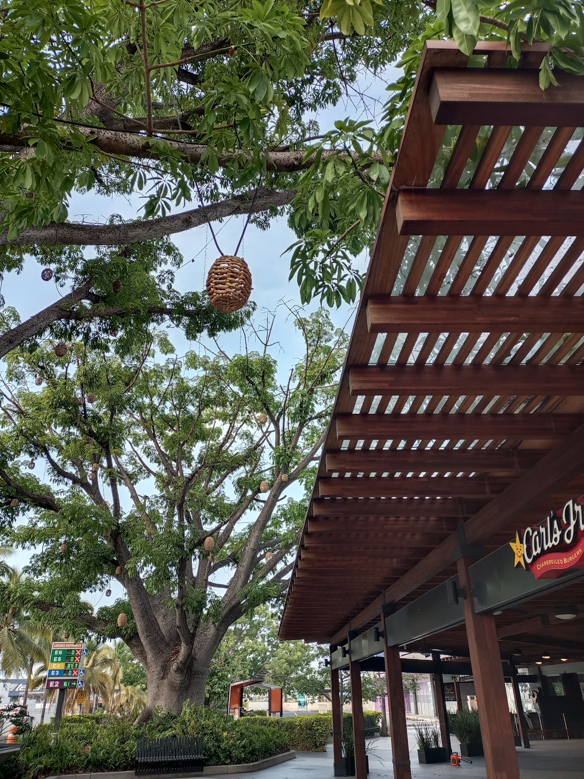 leetx-google-photo-53109-4 leetx-google-photo-53109-4