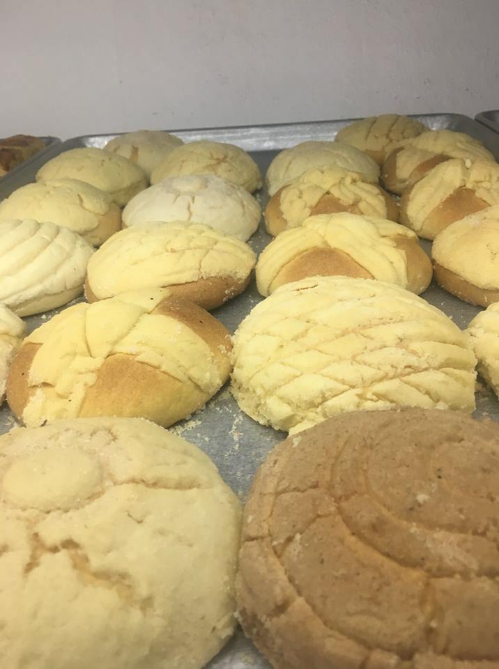 leetx-google-photo-53257-6 leetx-google-photo-53257-6