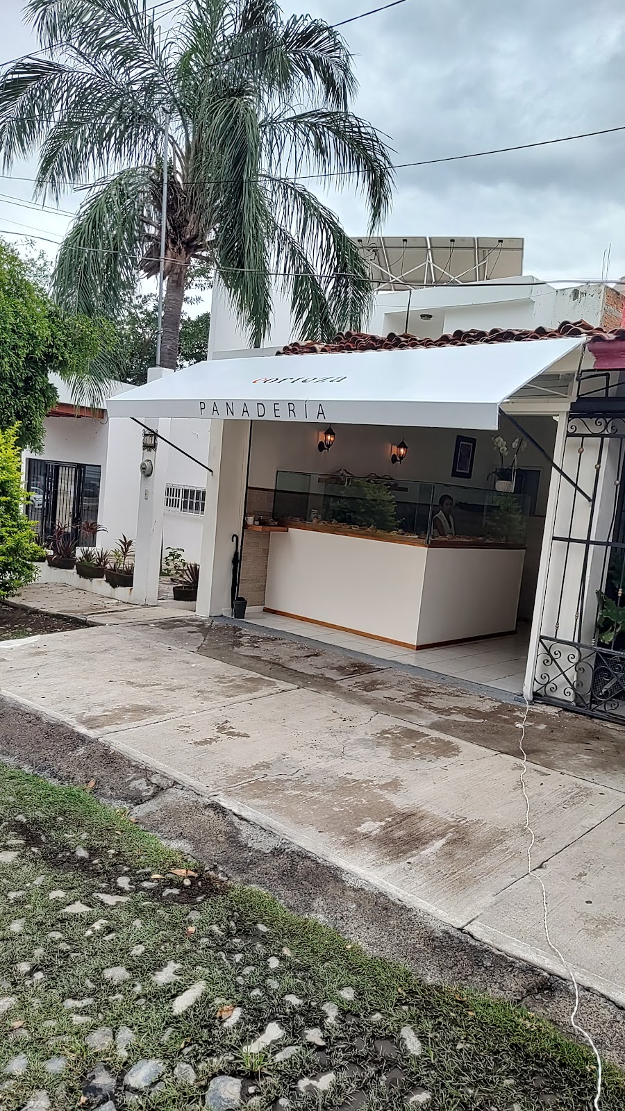 leetx-google-photo-53293-6 leetx-google-photo-53293-6