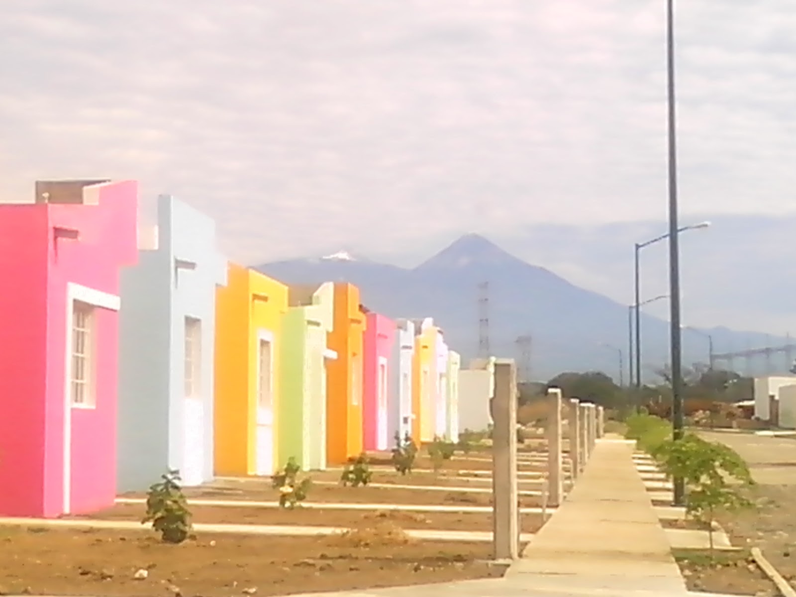 leetx-google-photo-53631-5 leetx-google-photo-53631-5