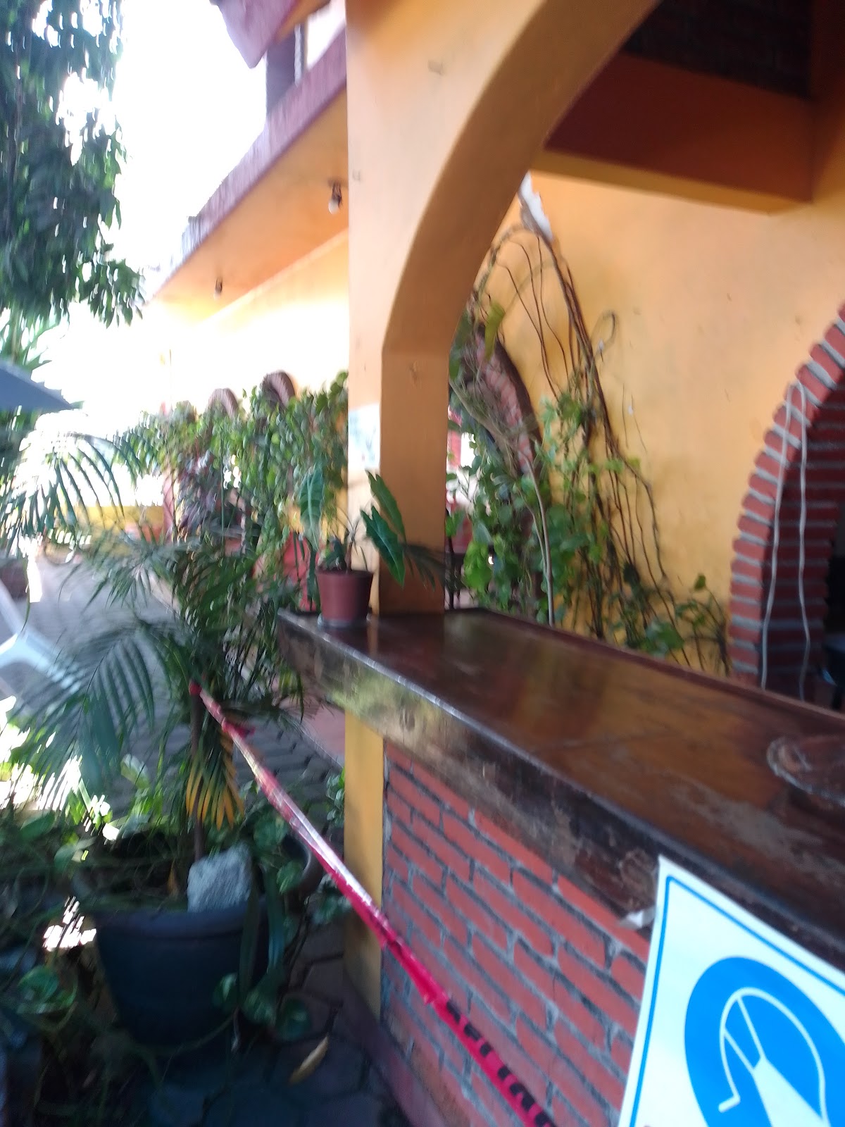 leetx-google-photo-53747-4 leetx-google-photo-53747-4