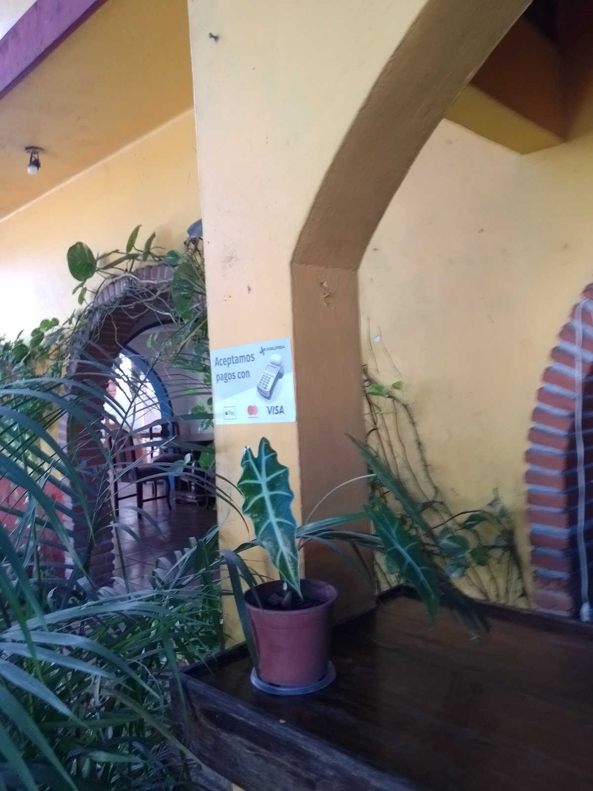 leetx-google-photo-53747-5 leetx-google-photo-53747-5