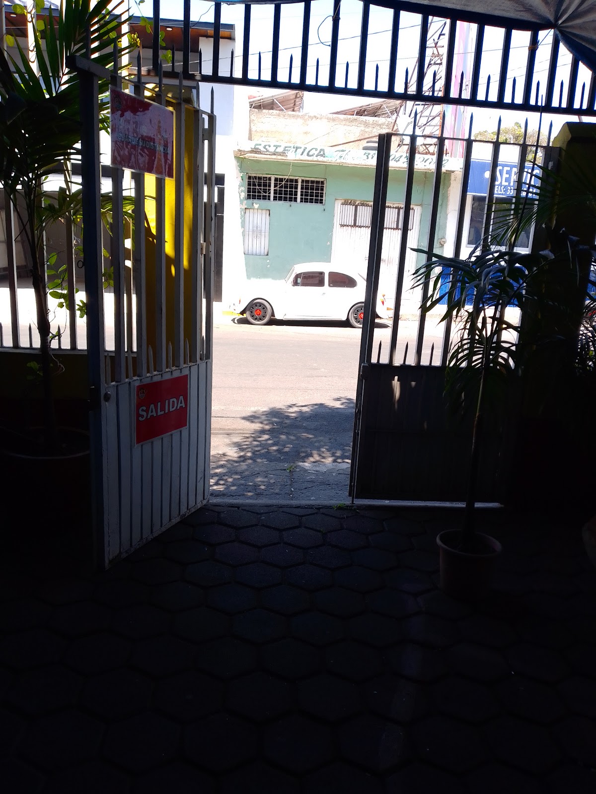 leetx-google-photo-53747-6 leetx-google-photo-53747-6