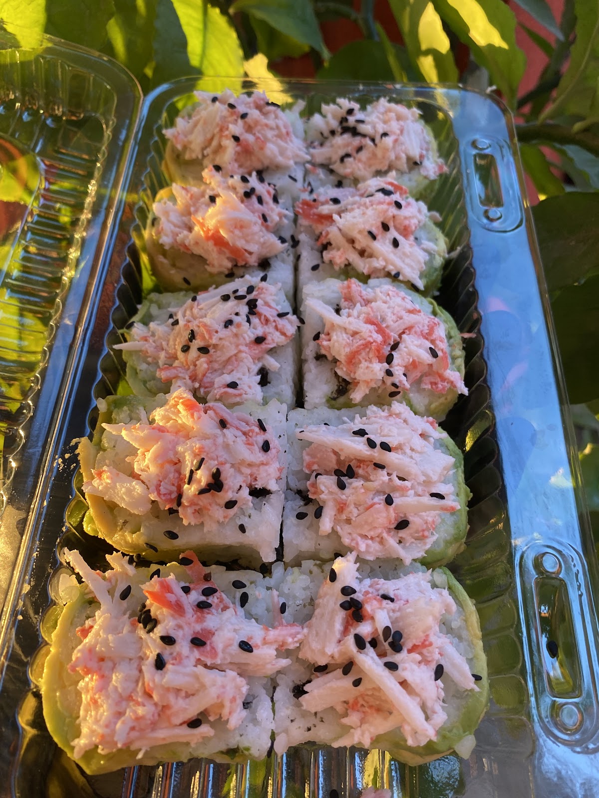 leetx-google-photo-54100-6-1 leetx-google-photo-54100-6-1