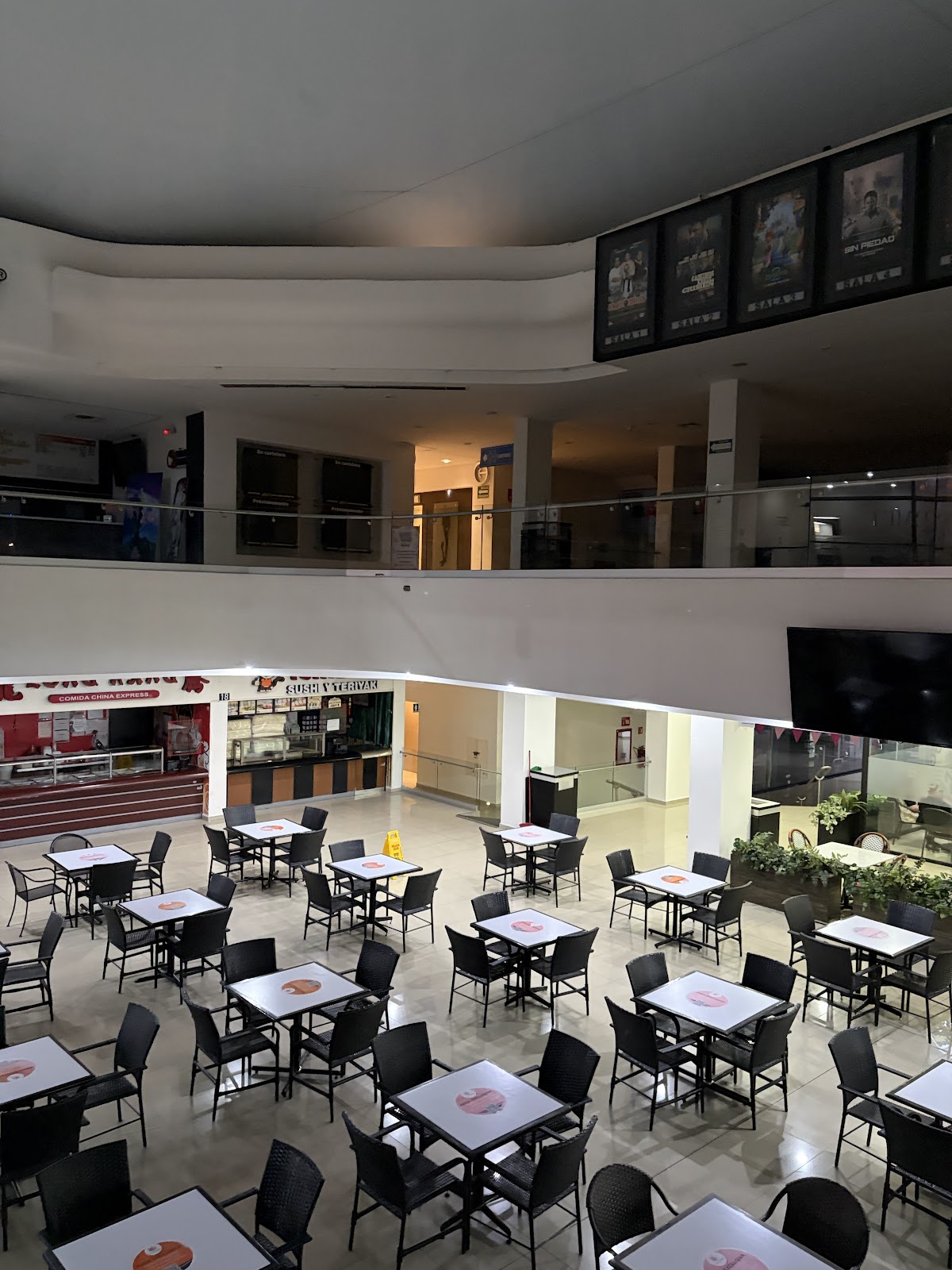 leetx-google-photo-54145-1-2 leetx-google-photo-54145-1-2