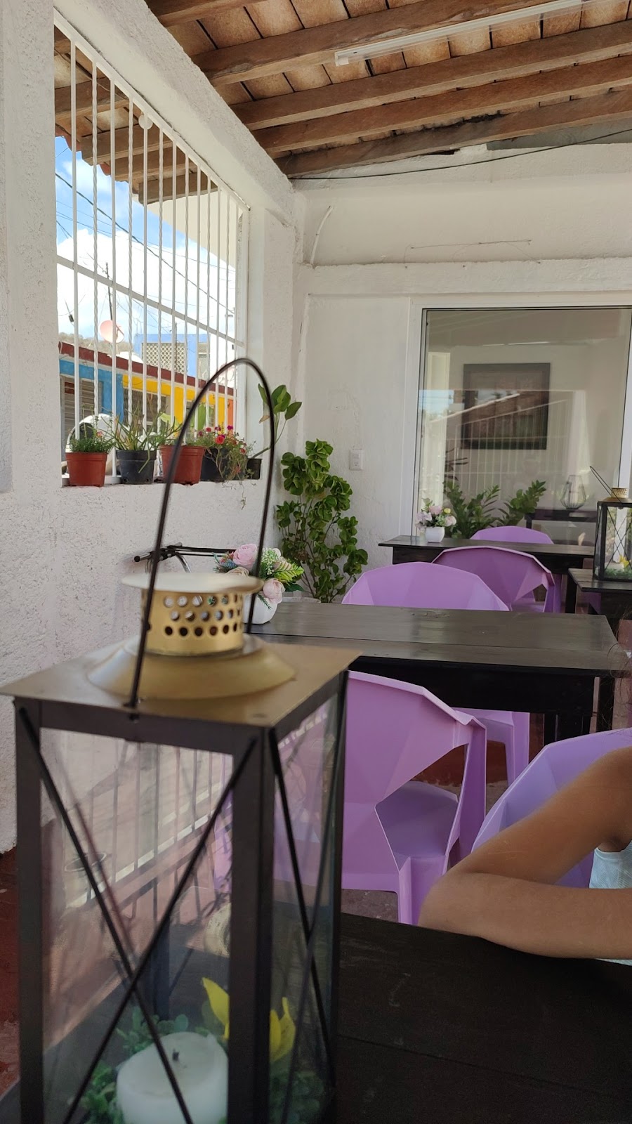 leetx-google-photo-54170-5 leetx-google-photo-54170-5