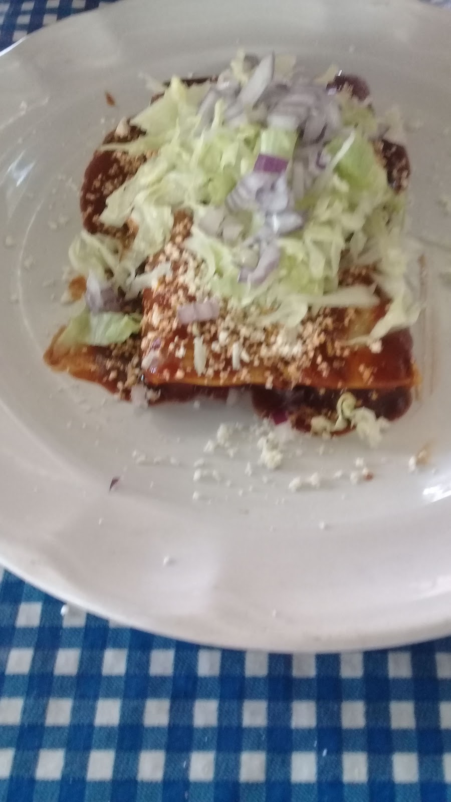 leetx-google-photo-54228-4 leetx-google-photo-54228-4