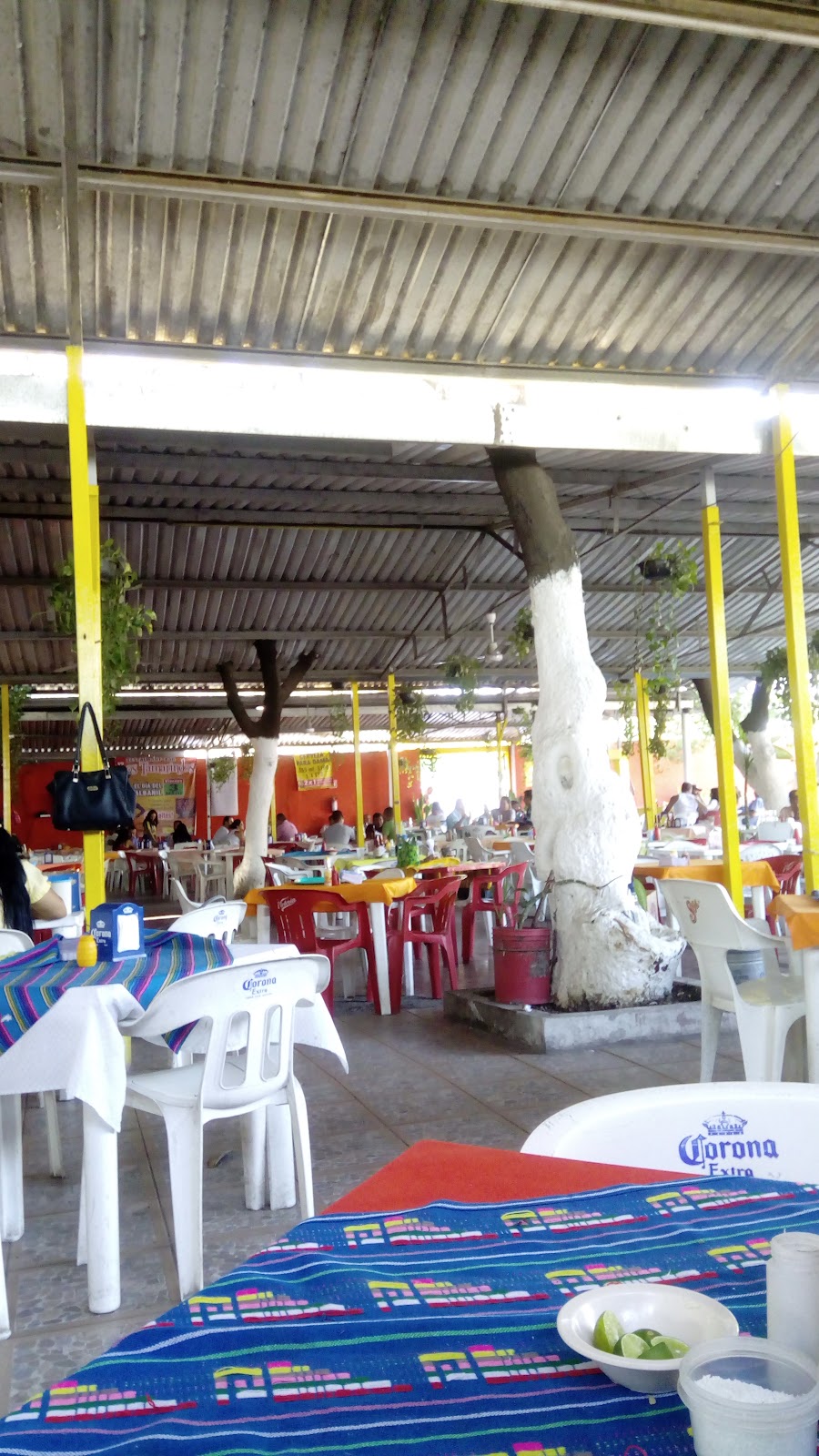 leetx-google-photo-54274-2 leetx-google-photo-54274-2