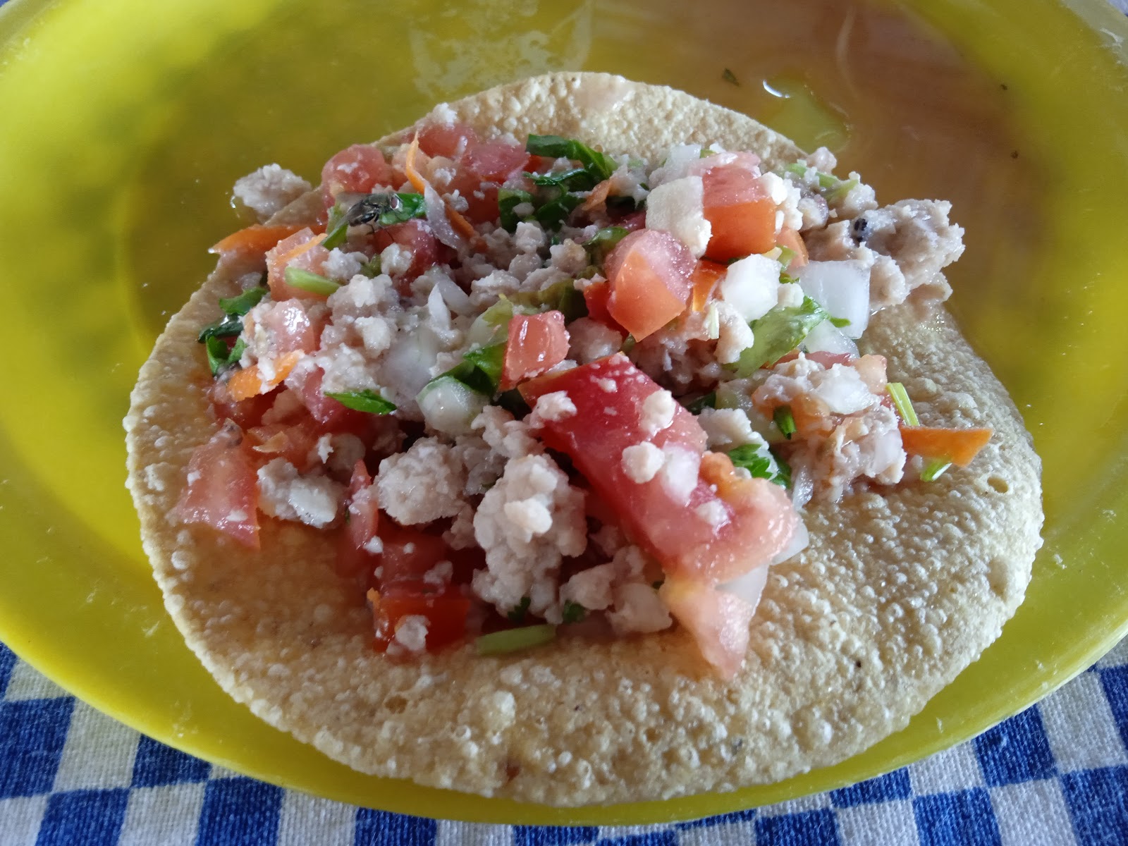 leetx-google-photo-54274-5-4 leetx-google-photo-54274-5-4