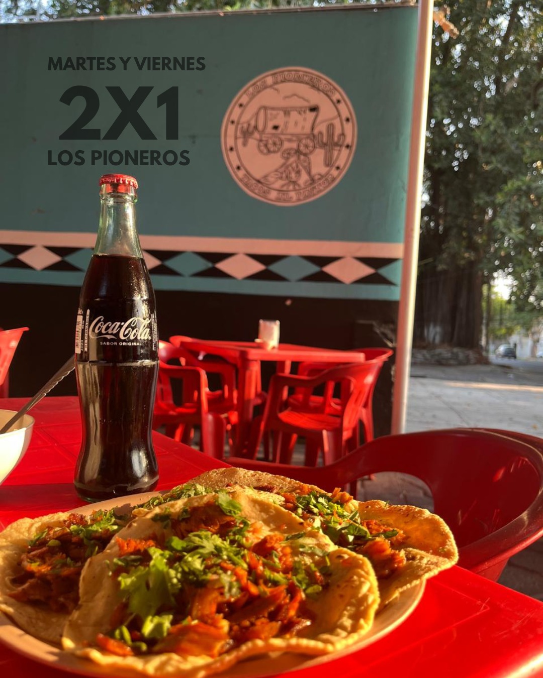 leetx-google-photo-54382-3-1 leetx-google-photo-54382-3-1