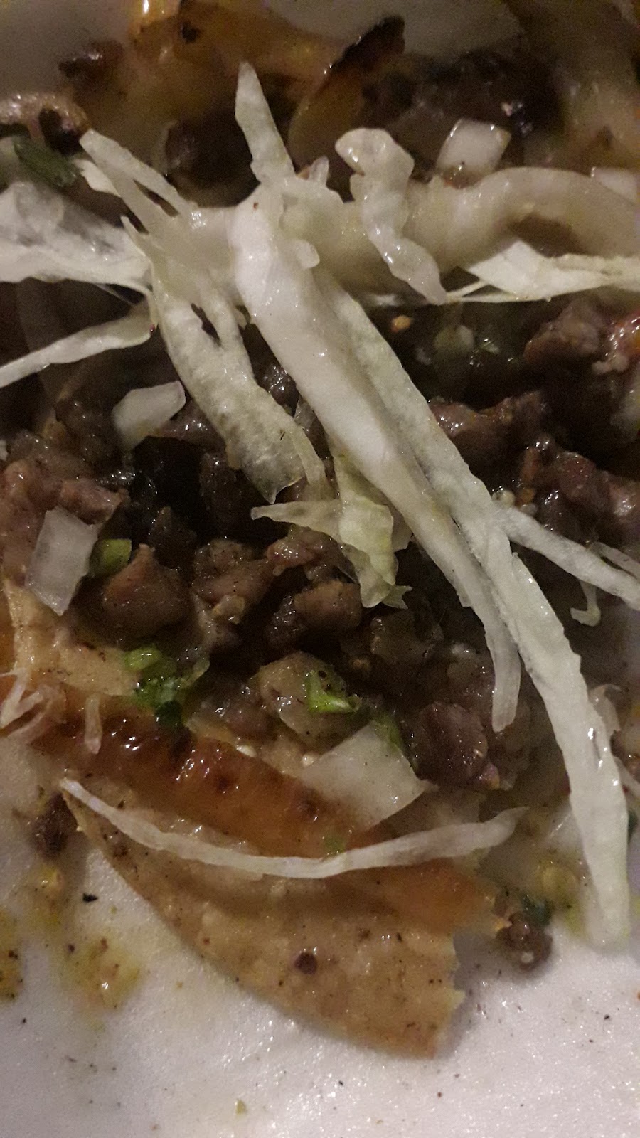 leetx-google-photo-54564-2-1 leetx-google-photo-54564-2-1