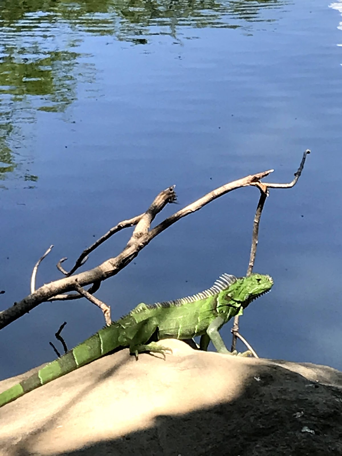 leetx-google-photo-54839-8 leetx-google-photo-54839-8