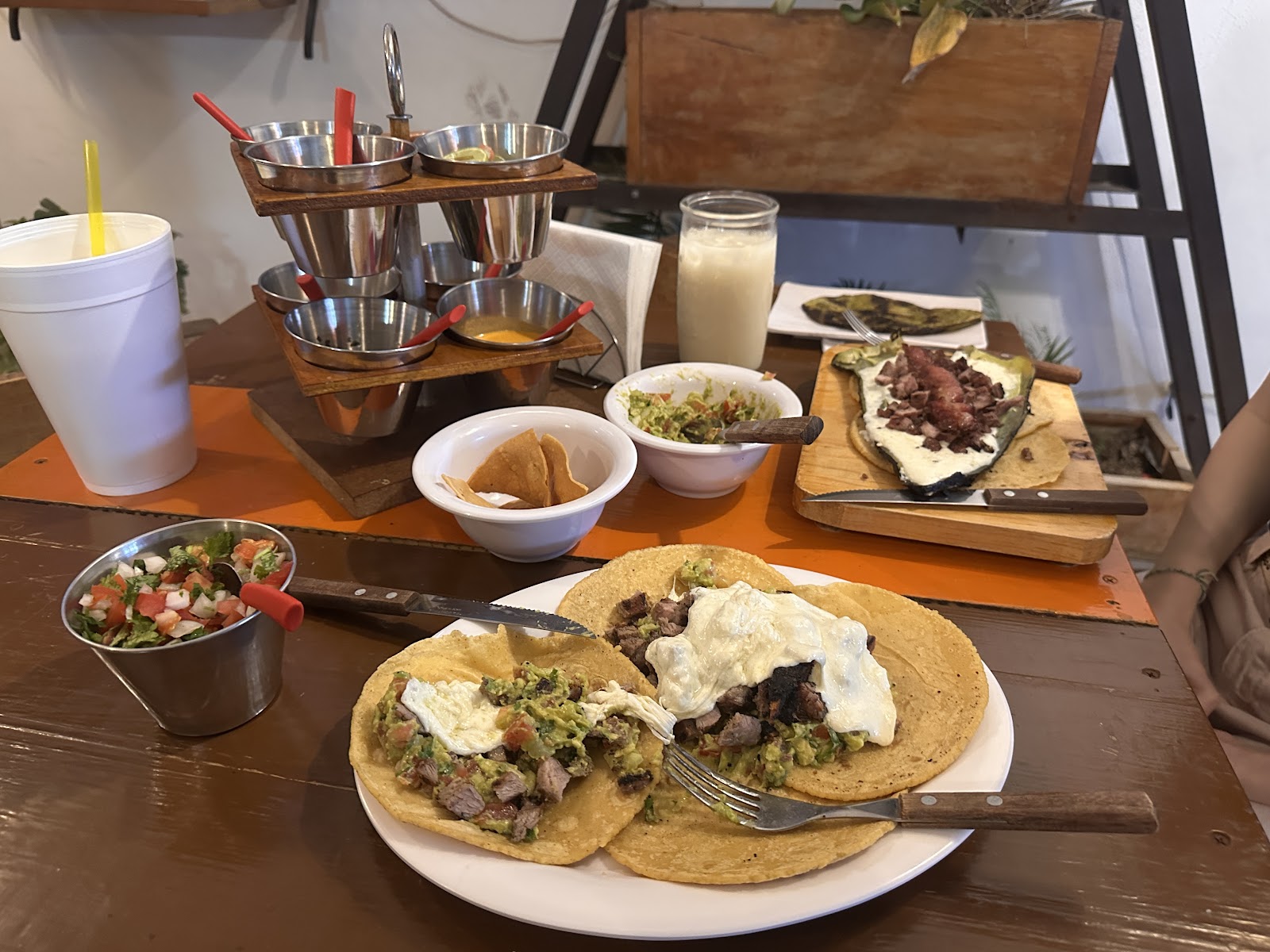 leetx-google-photo-55887-3-1 leetx-google-photo-55887-3-1