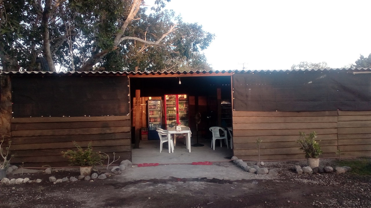 leetx-google-photo-55968-2 leetx-google-photo-55968-2