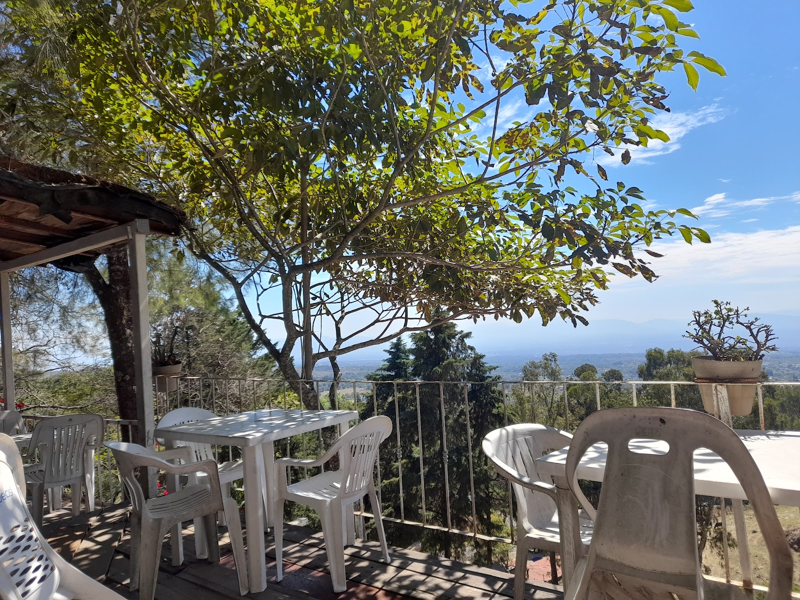 leetx-google-photo-56067-3 leetx-google-photo-56067-3