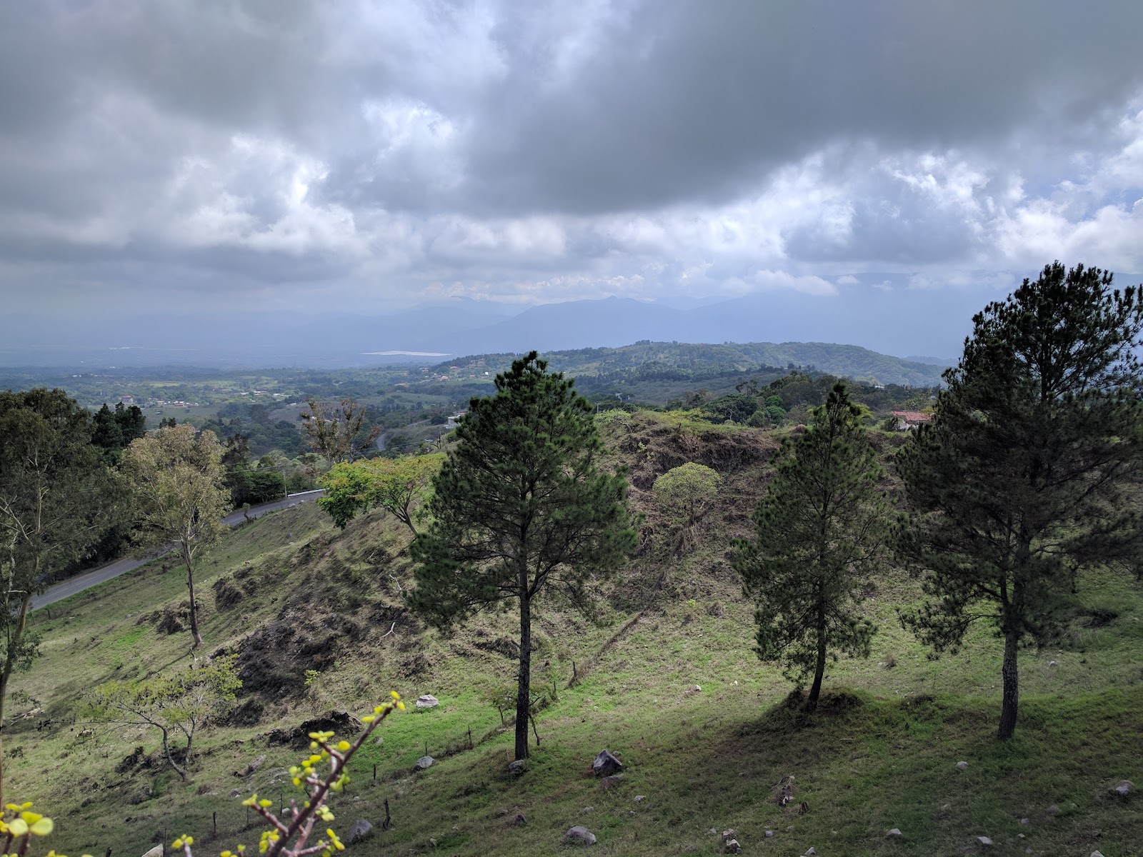 leetx-google-photo-56067-7 leetx-google-photo-56067-7