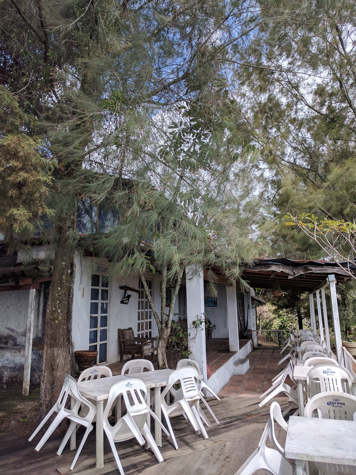 leetx-google-photo-56067-8 leetx-google-photo-56067-8