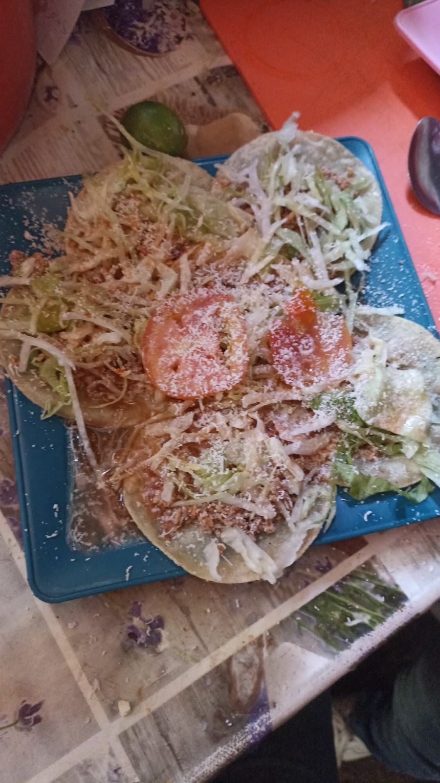 leetx-google-photo-56096-6 leetx-google-photo-56096-6