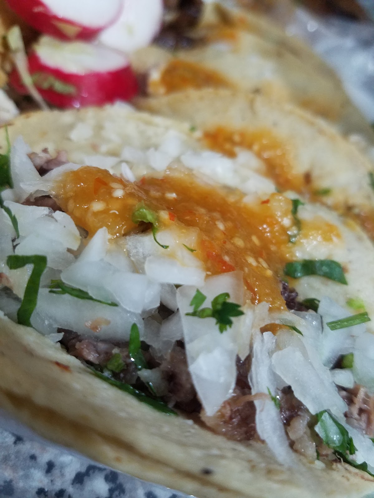 leetx-google-photo-56511-2 leetx-google-photo-56511-2