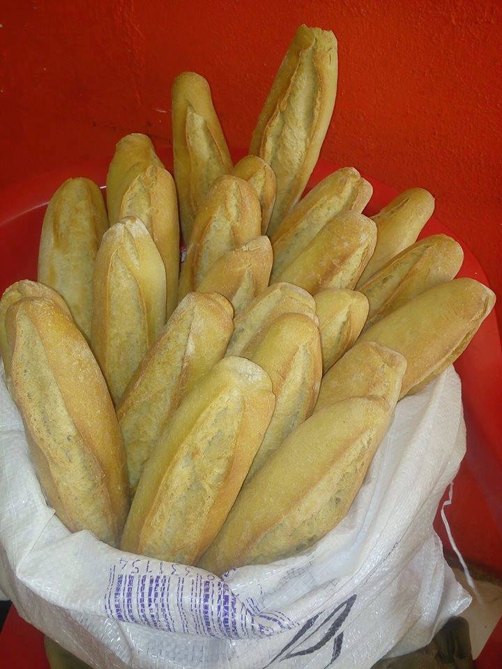 leetx-google-photo-56647-8 leetx-google-photo-56647-8