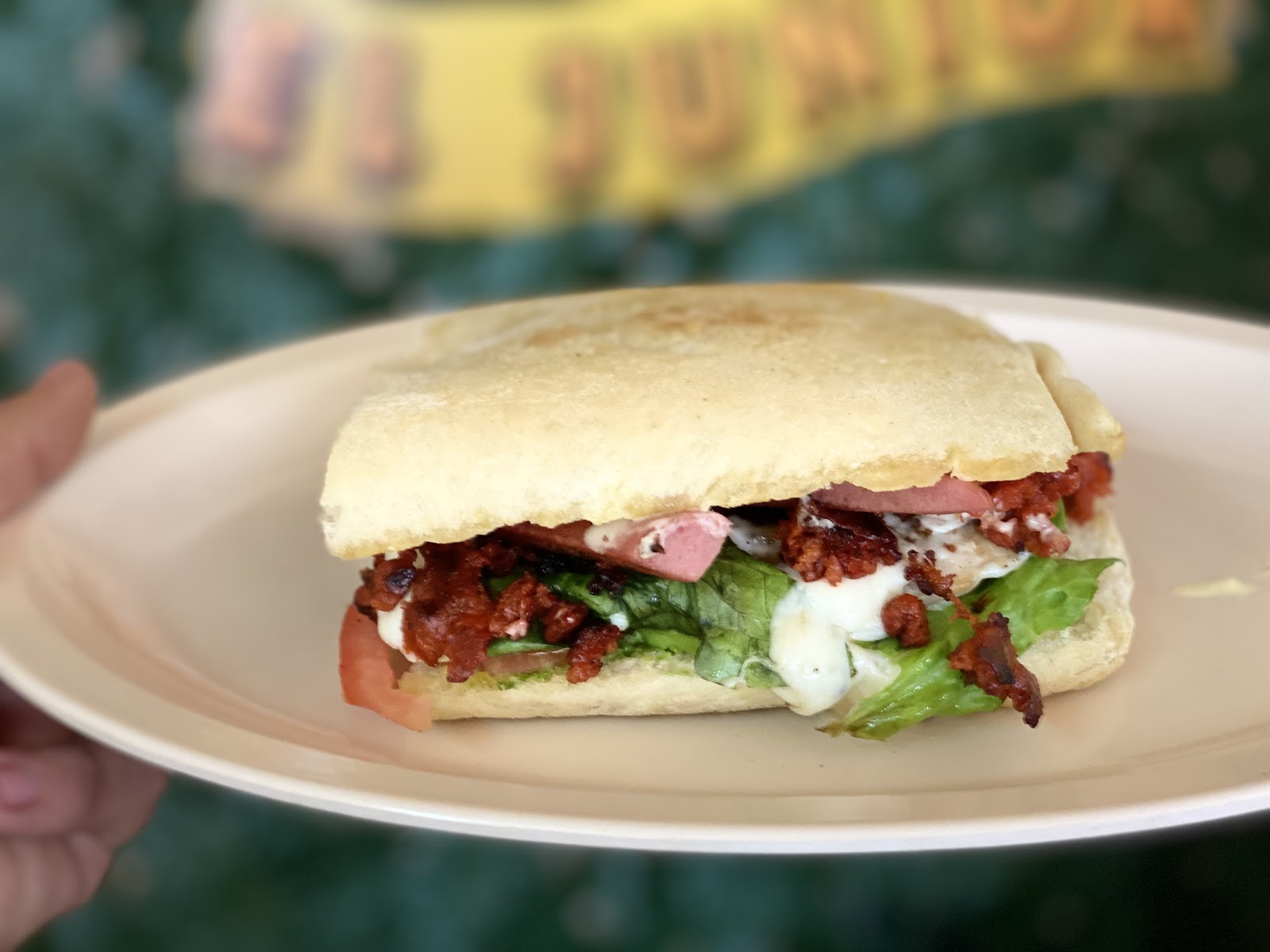 leetx-google-photo-56714-3 leetx-google-photo-56714-3