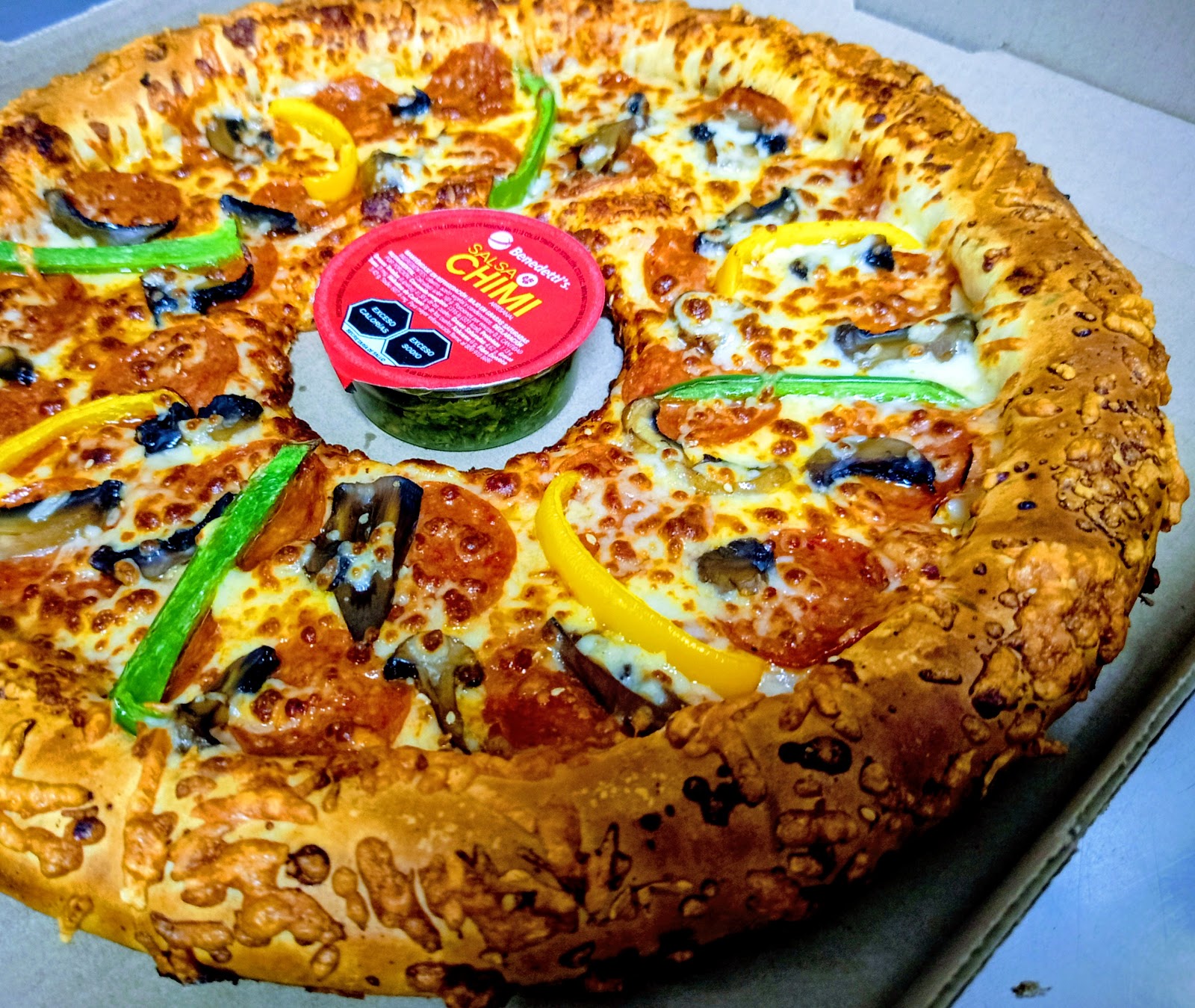 leetx-google-photo-56924-2-5 leetx-google-photo-56924-2-5