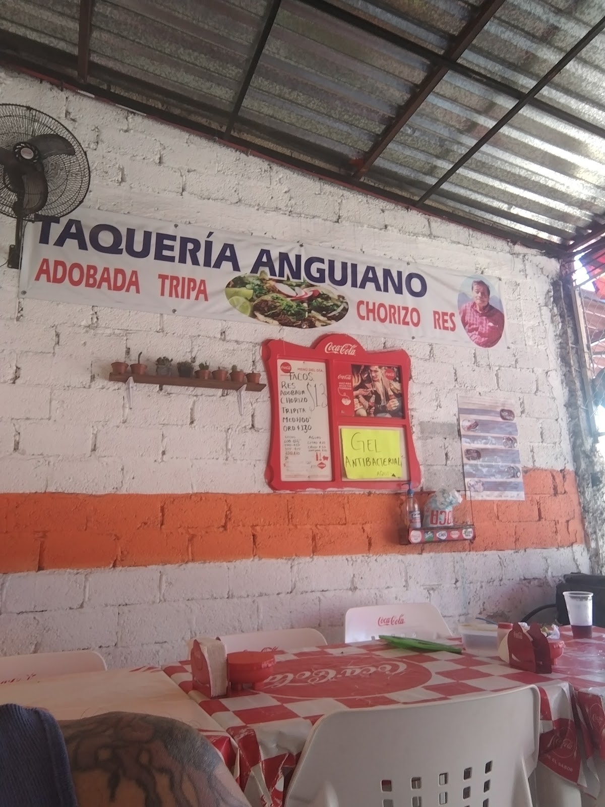 leetx-google-photo-57163-5 leetx-google-photo-57163-5