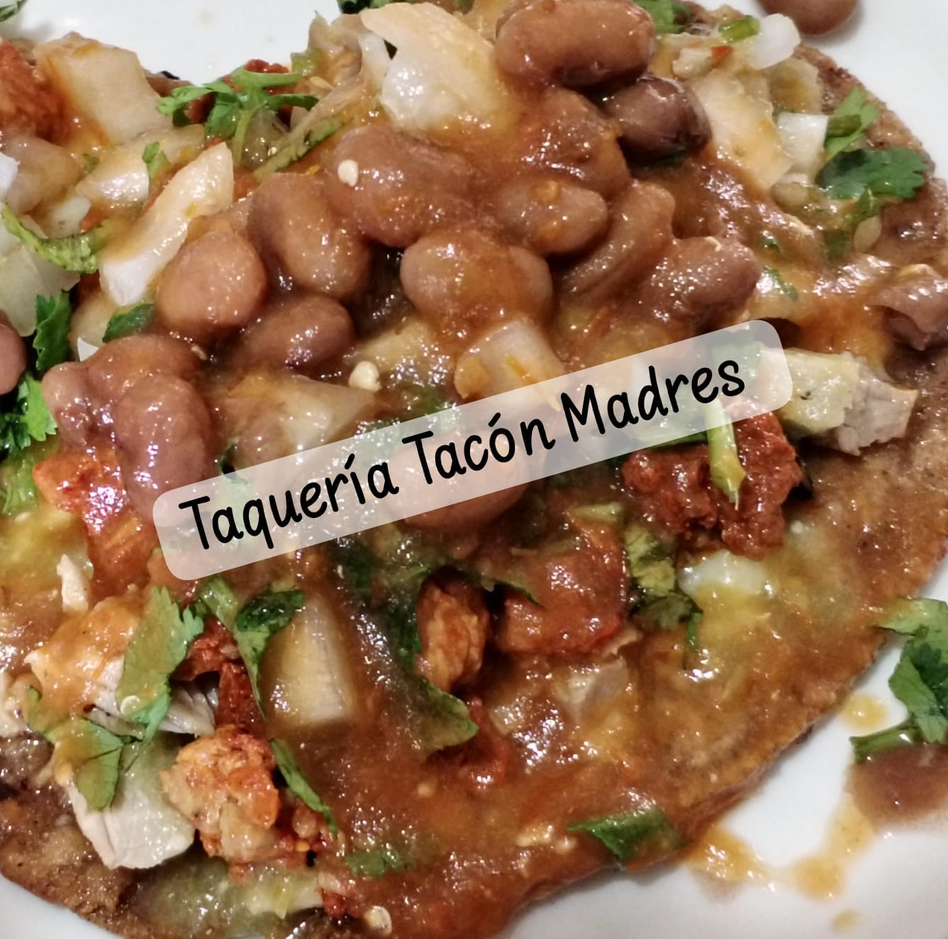 leetx-google-photo-57197-3-1 leetx-google-photo-57197-3-1