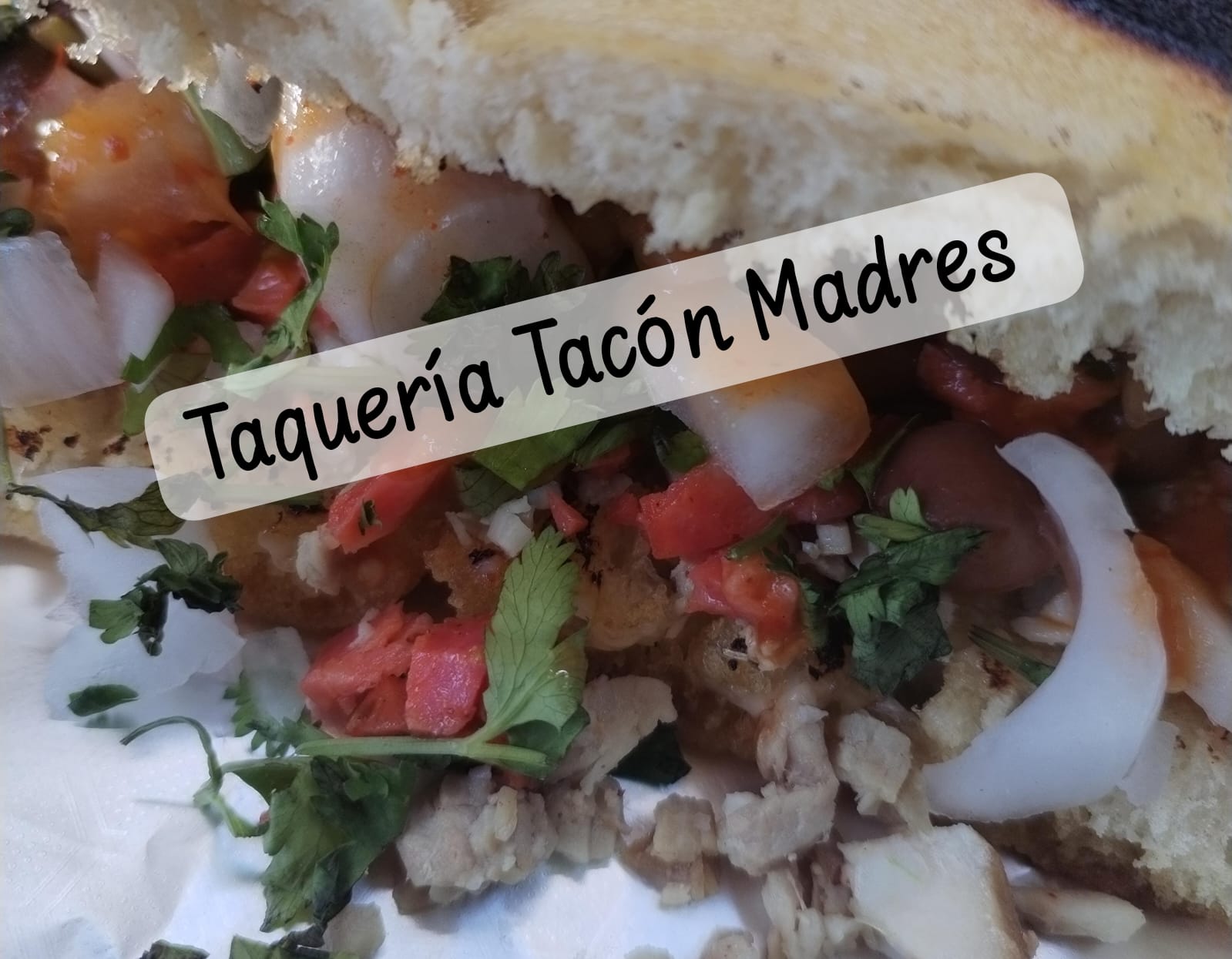 leetx-google-photo-57197-4-1 leetx-google-photo-57197-4-1