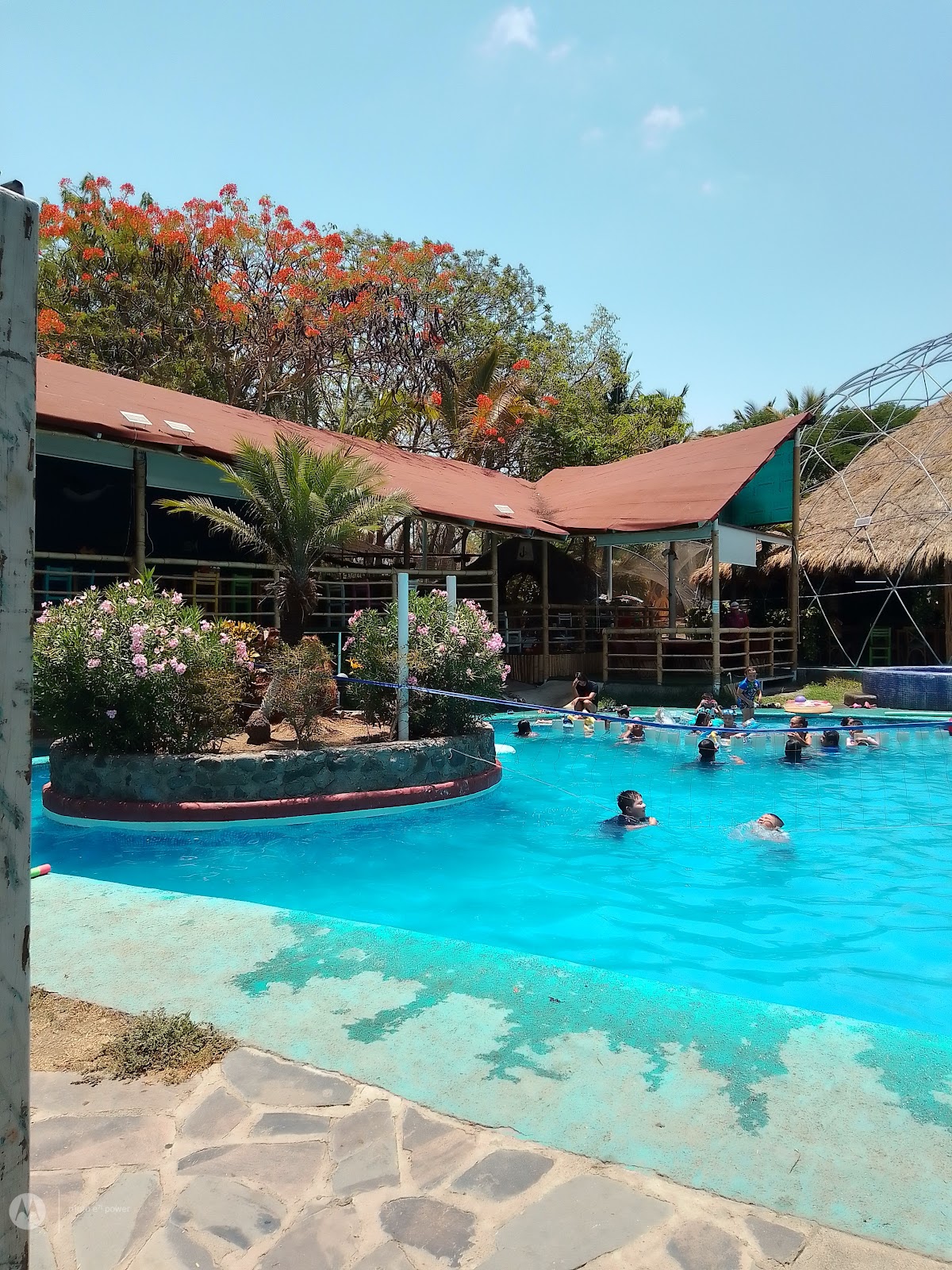 leetx-google-photo-57540-3 leetx-google-photo-57540-3